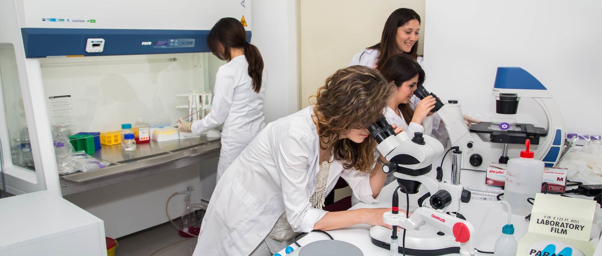 Study Pharmacy in Turkey: Best universities and Application Process (2024)