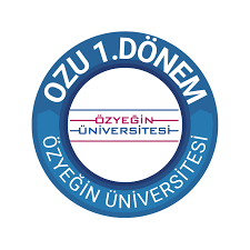 Ozyegin University