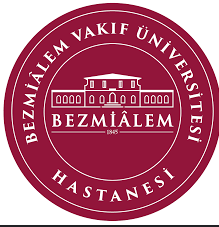 Bezmialem Vakif University