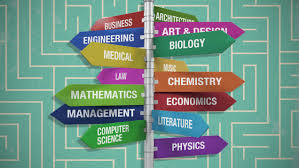 Top College Majors for a Successful Career